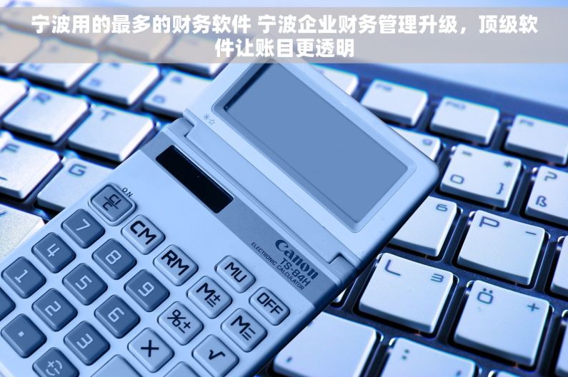 宁波用的最多的财务软件 宁波企业财务管理升级，顶级软件让账目更透明
