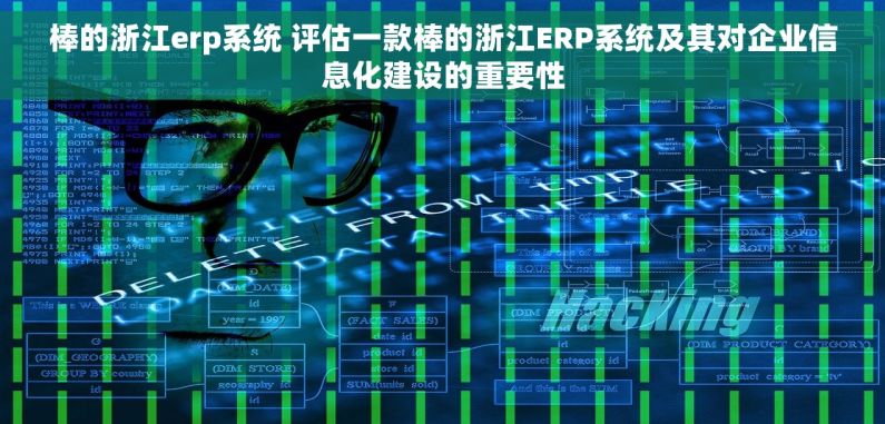 棒的浙江erp系统 评估一款棒的浙江ERP系统及其对企业信息化建设的重要性