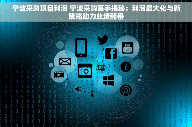 宁波采购项目利润 宁波采购高手揭秘：利润最大化与新策略助力业绩翻番