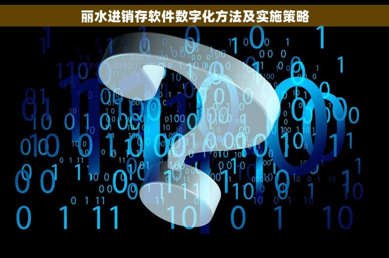 丽水进销存软件数字化方法及实施策略