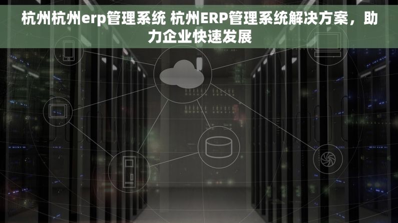 杭州杭州erp管理系统 杭州ERP管理系统解决方案，助力企业快速发展