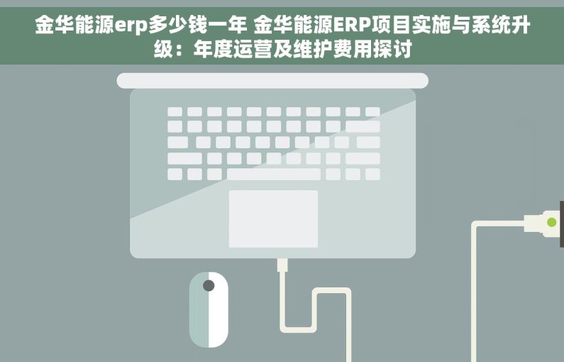 金华能源erp多少钱一年 金华能源ERP项目实施与系统升级：年度运营及维护费用探讨