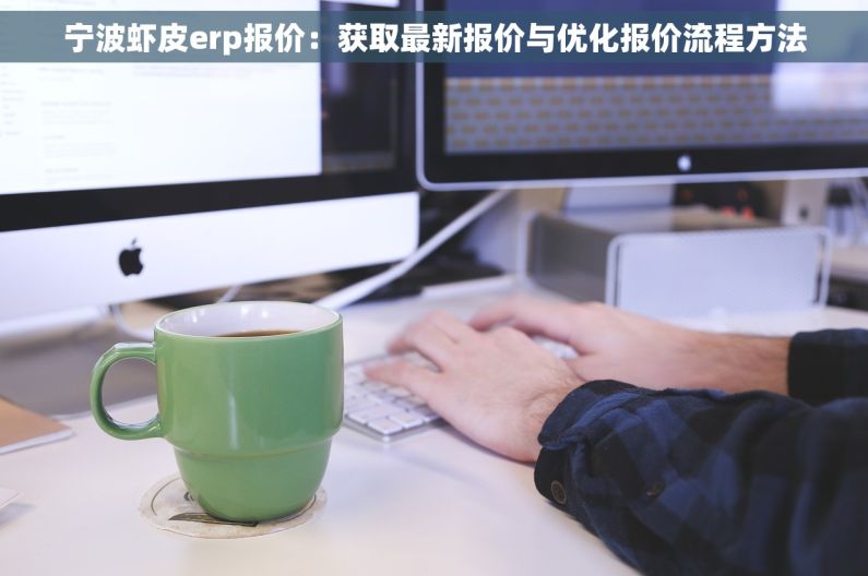 宁波虾皮erp报价：获取最新报价与优化报价流程方法