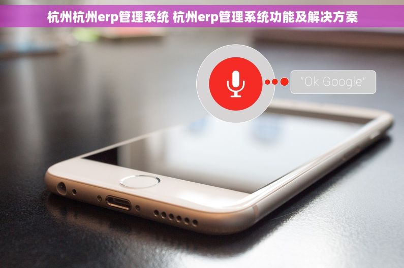 杭州杭州erp管理系统 杭州erp管理系统功能及解决方案