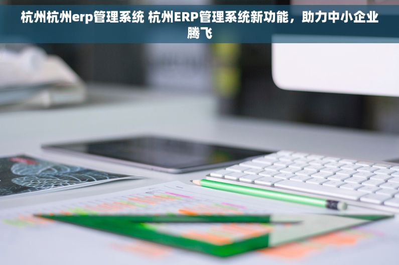 杭州杭州erp管理系统 杭州ERP管理系统新功能，助力中小企业腾飞