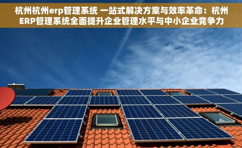 杭州杭州erp管理系统 一站式解决方案与效率革命：杭州ERP管理系统全面提升企业管理水平与中小企业竞争力