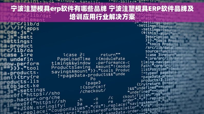 宁波注塑模具erp软件有哪些品牌 宁波注塑模具ERP软件品牌及培训应用行业解决方案