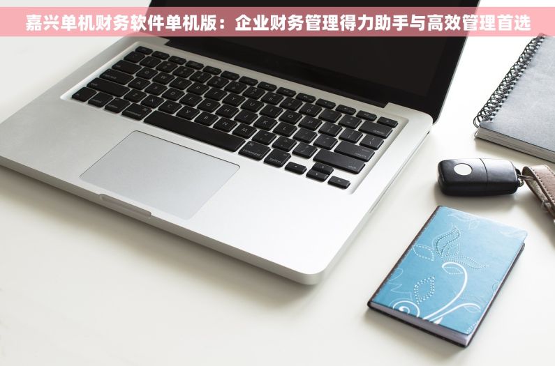 嘉兴单机财务软件单机版：企业财务管理得力助手与高效管理首选