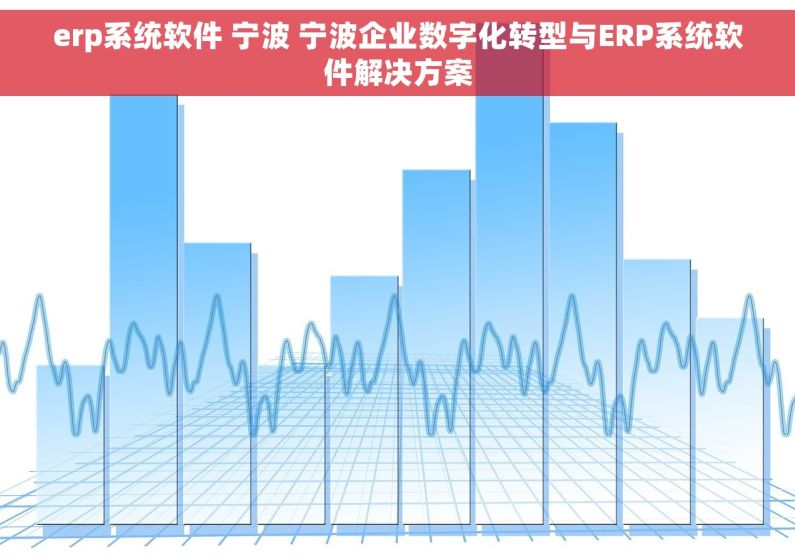 erp系统软件 宁波 宁波企业数字化转型与ERP系统软件解决方案