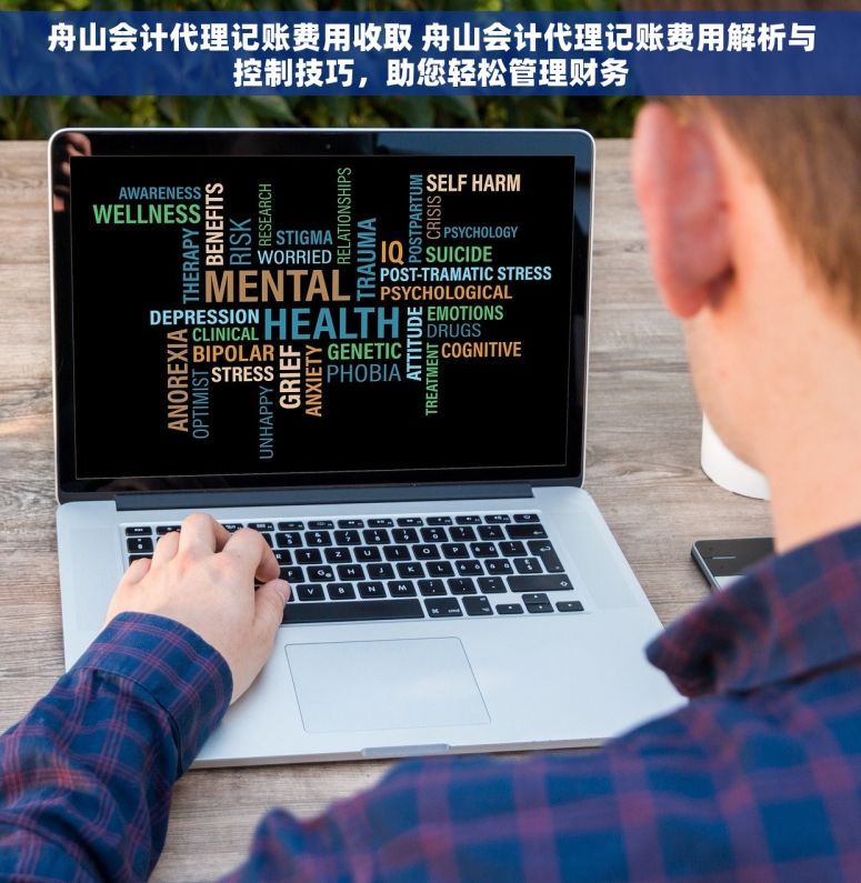舟山会计代理记账费用收取 舟山会计代理记账费用解析与控制技巧，助您轻松管理财务