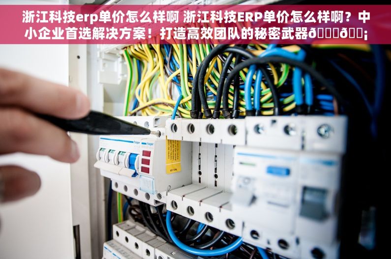 浙江科技erp单价怎么样啊 浙江科技ERP单价怎么样啊？中小企业首选解决方案！打造高效团队的秘密武器🔍🛡️