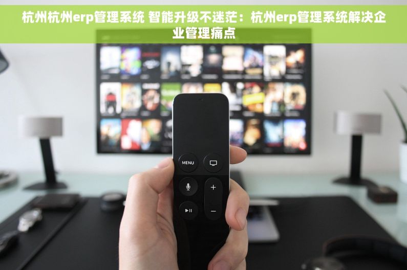 杭州杭州erp管理系统 智能升级不迷茫：杭州erp管理系统解决企业管理痛点