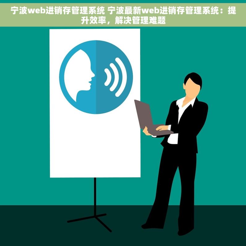 宁波web进销存管理系统 宁波最新web进销存管理系统：提升效率，解决管理难题