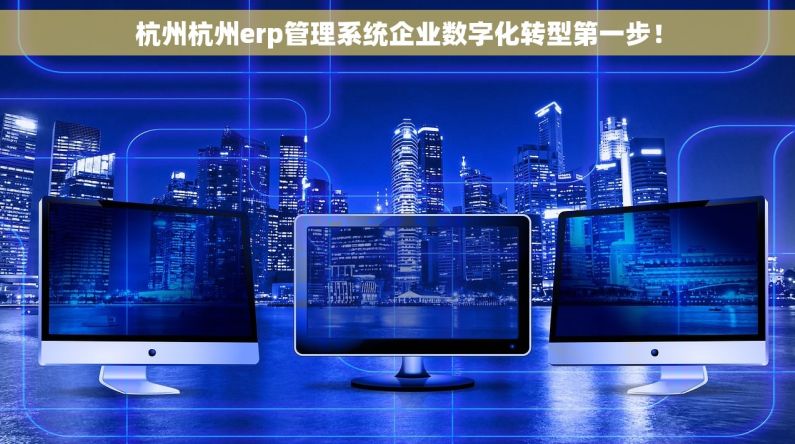 杭州杭州erp管理系统企业数字化转型第一步！