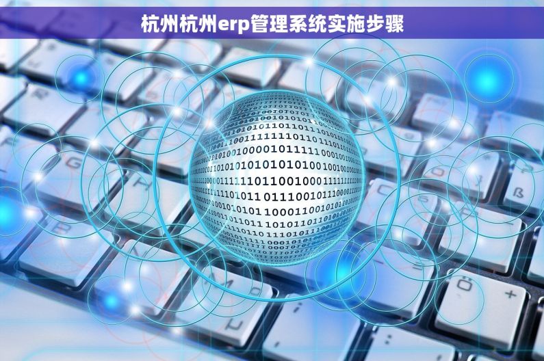 杭州杭州erp管理系统实施步骤