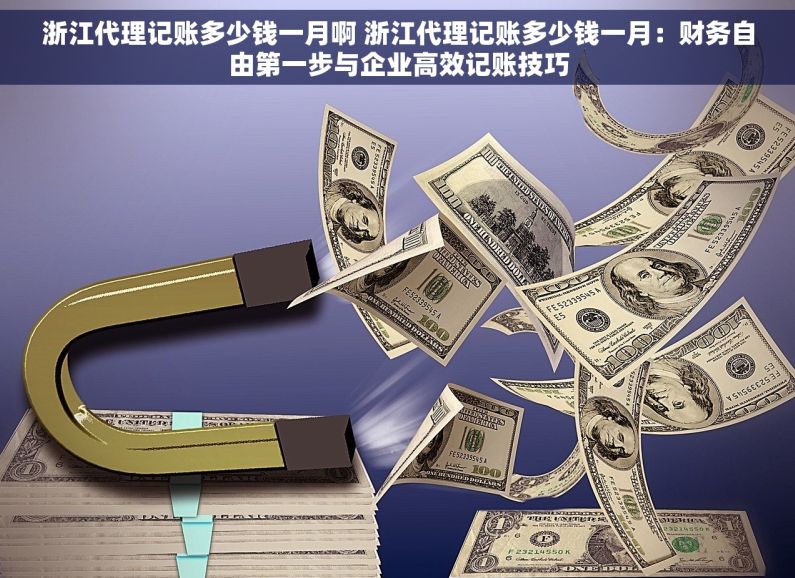 浙江代理记账多少钱一月啊 浙江代理记账多少钱一月：财务自由第一步与企业高效记账技巧