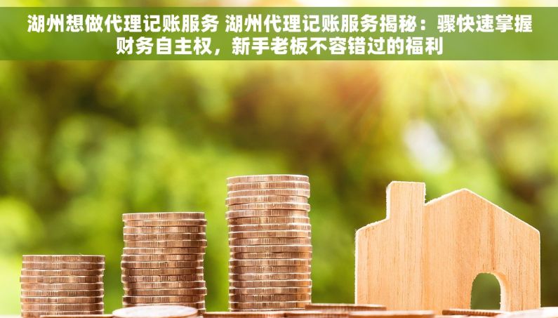 湖州想做代理记账服务 湖州代理记账服务揭秘：骤快速掌握财务自主权，新手老板不容错过的福利