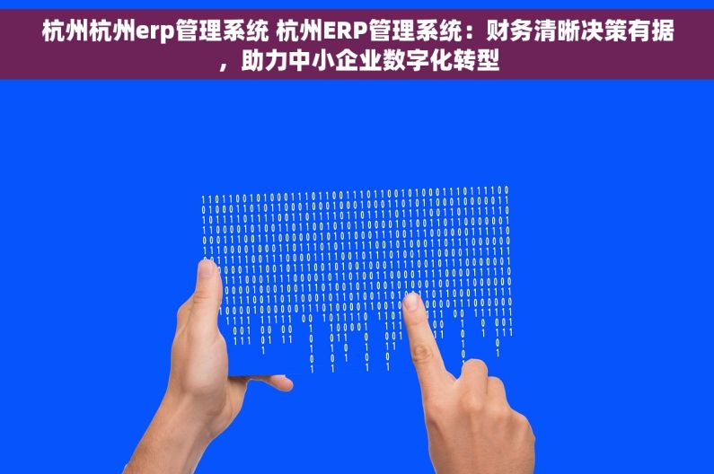 杭州杭州erp管理系统 杭州ERP管理系统：财务清晰决策有据，助力中小企业数字化转型
