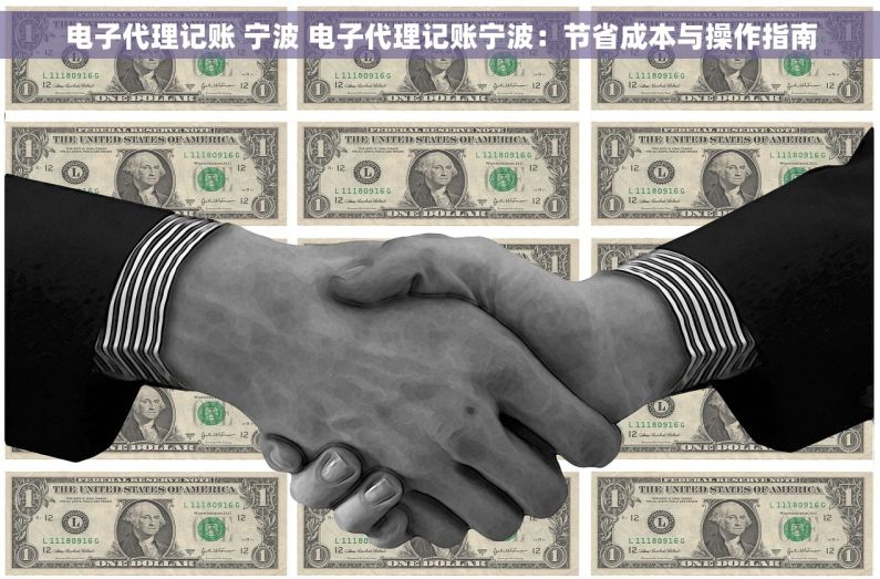 电子代理记账 宁波 电子代理记账宁波：节省成本与操作指南
