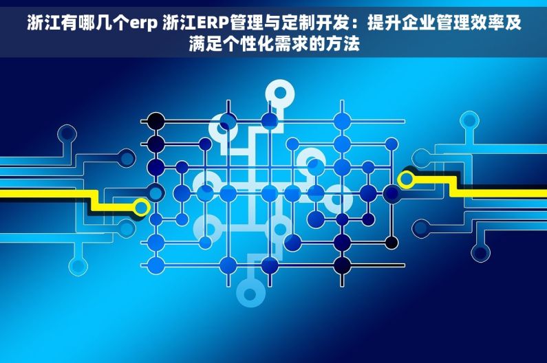 浙江有哪几个erp 浙江ERP管理与定制开发：提升企业管理效率及满足个性化需求的方法