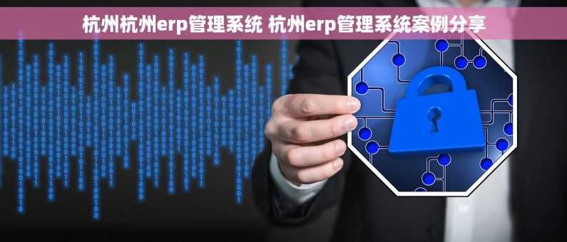 杭州杭州erp管理系统 杭州erp管理系统案例分享