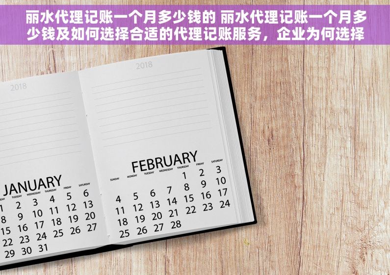 丽水代理记账一个月多少钱的 丽水代理记账一个月多少钱及如何选择合适的代理记账服务，企业为何选择此项服务