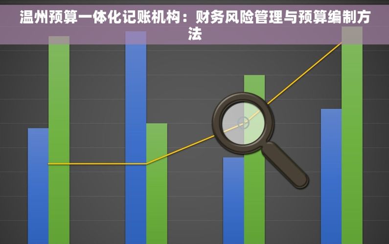 温州预算一体化记账机构：财务风险管理与预算编制方法