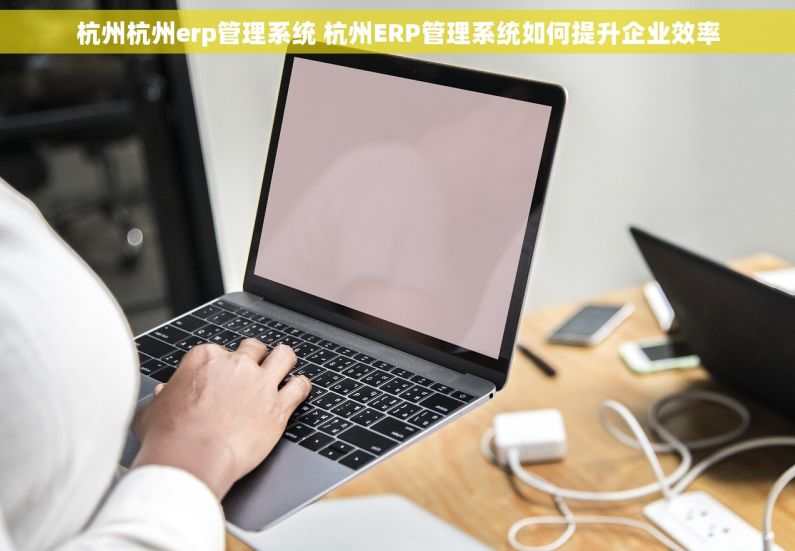 杭州杭州erp管理系统 杭州ERP管理系统如何提升企业效率