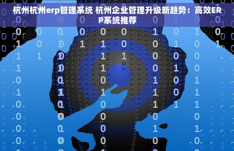杭州杭州erp管理系统 杭州企业管理升级新趋势：高效ERP系统推荐