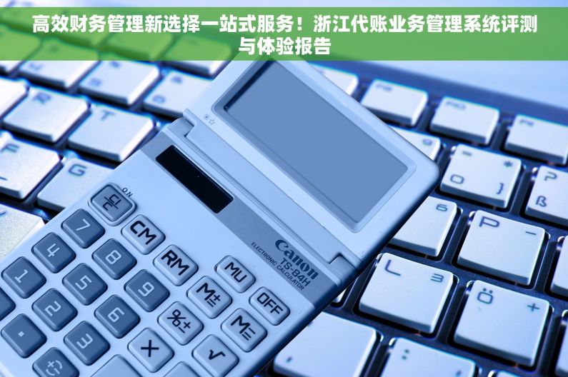 高效财务管理新选择一站式服务！浙江代账业务管理系统评测与体验报告