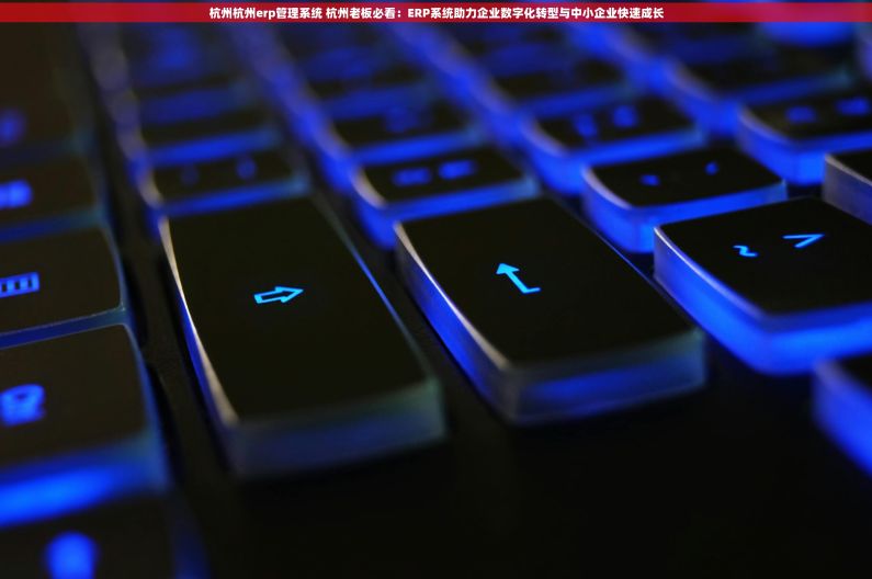 杭州杭州erp管理系统 杭州老板必看：ERP系统助力企业数字化转型与中小企业快速成长