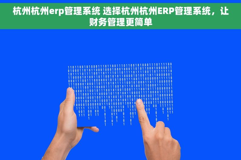 杭州杭州erp管理系统 选择杭州杭州ERP管理系统，让财务管理更简单