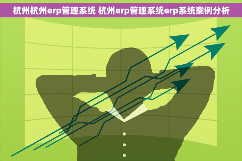 杭州杭州erp管理系统 杭州erp管理系统erp系统案例分析
