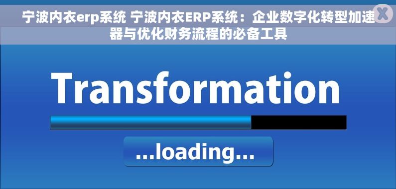 宁波内衣erp系统 宁波内衣ERP系统：企业数字化转型加速器与优化财务流程的必备工具