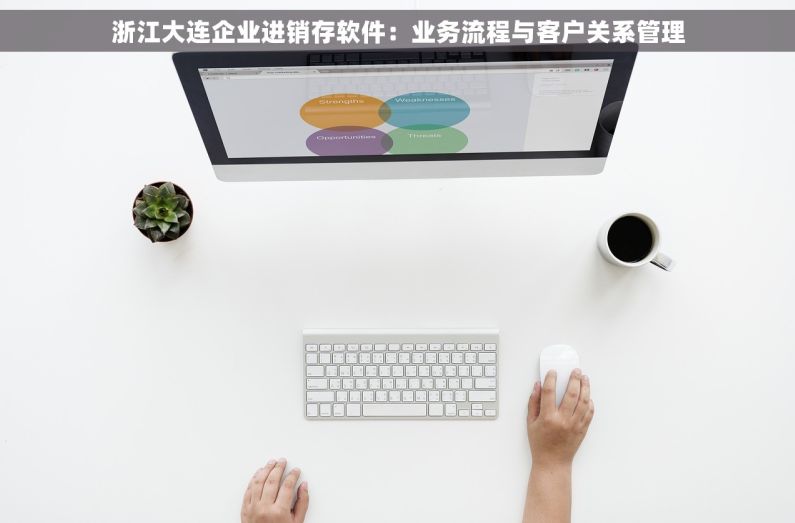 浙江大连企业进销存软件：业务流程与客户关系管理