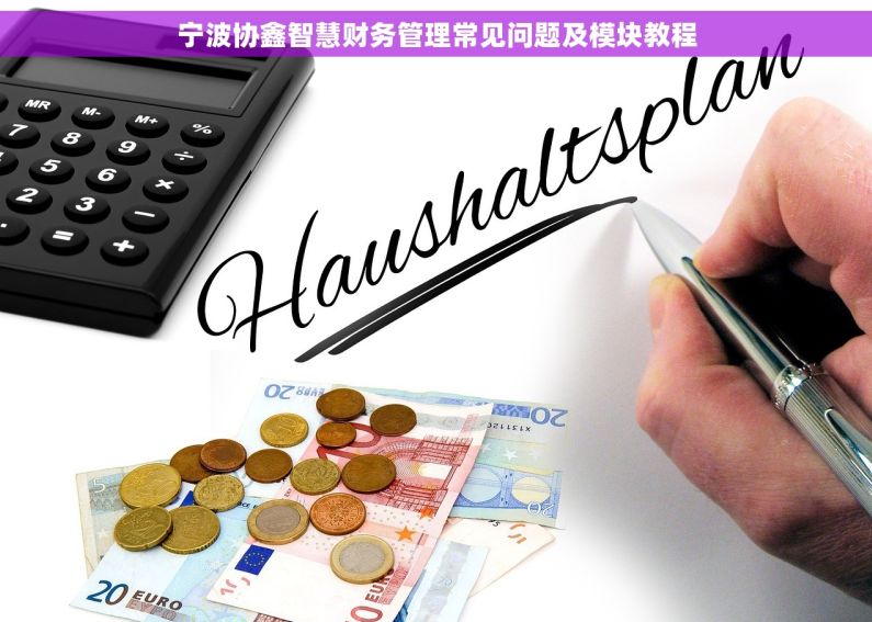 宁波协鑫智慧财务管理常见问题及模块教程