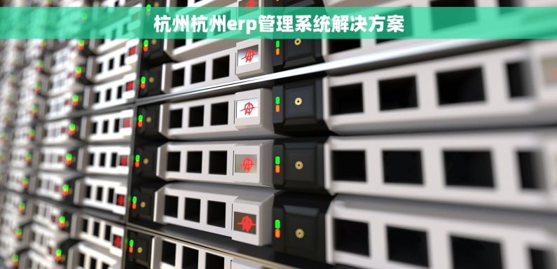 杭州杭州erp管理系统解决方案