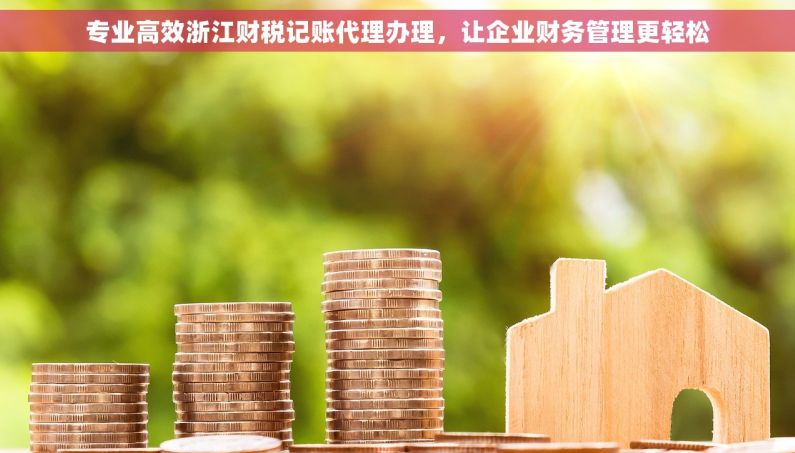 专业高效浙江财税记账代理办理，让企业财务管理更轻松