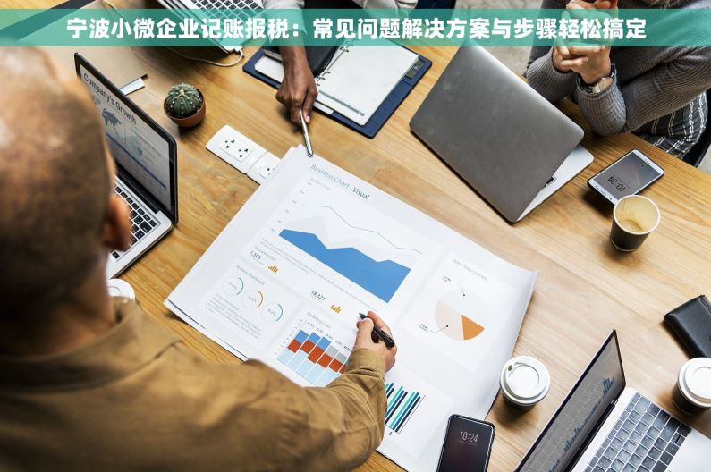 宁波小微企业记账报税：常见问题解决方案与步骤轻松搞定