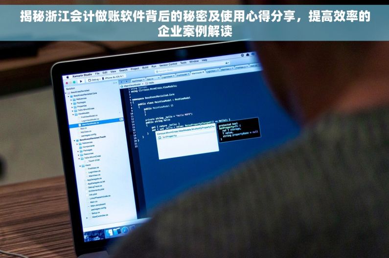 揭秘浙江会计做账软件背后的秘密及使用心得分享，提高效率的企业案例解读