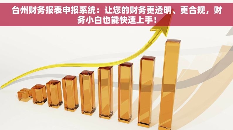 台州财务报表申报系统：让您的财务更透明、更合规，财务小白也能快速上手！