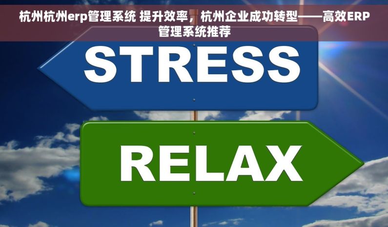 杭州杭州erp管理系统 提升效率，杭州企业成功转型——高效ERP管理系统推荐