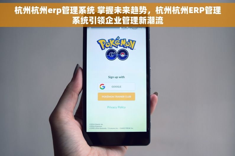 杭州杭州erp管理系统 掌握未来趋势，杭州杭州ERP管理系统引领企业管理新潮流