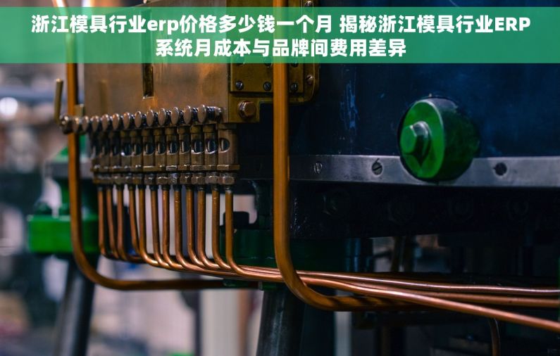 浙江模具行业erp价格多少钱一个月 揭秘浙江模具行业ERP系统月成本与品牌间费用差异