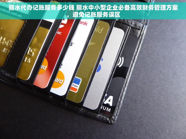 丽水代办记账服务多少钱 丽水中小型企业必备高效财务管理方案，避免记账服务误区