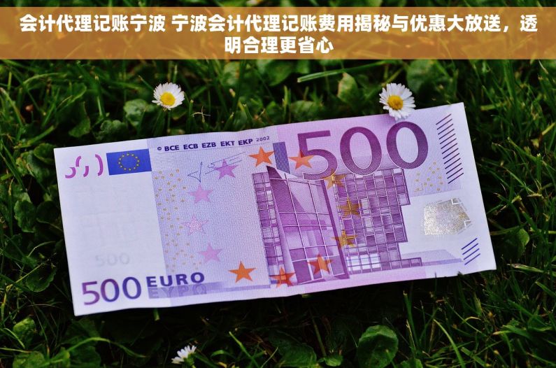 会计代理记账宁波 宁波会计代理记账费用揭秘与优惠大放送，透明合理更省心