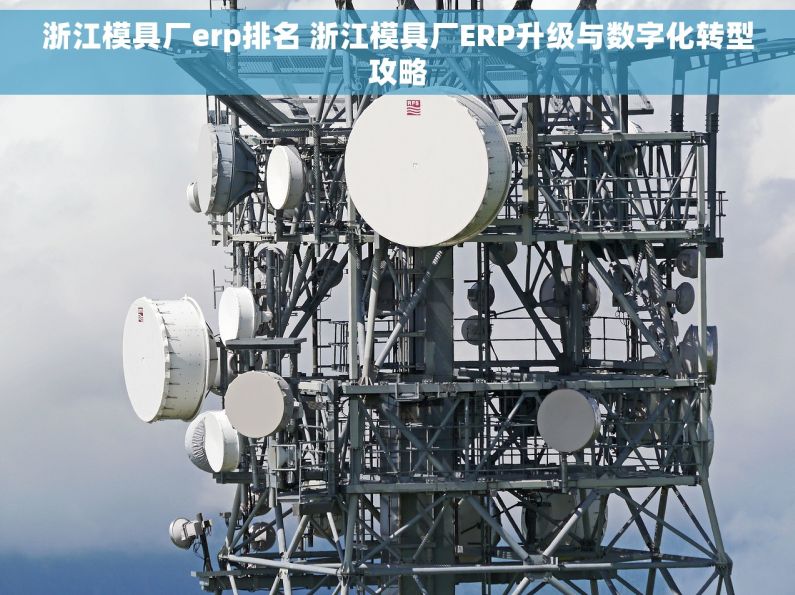 浙江模具厂erp排名 浙江模具厂ERP升级与数字化转型攻略