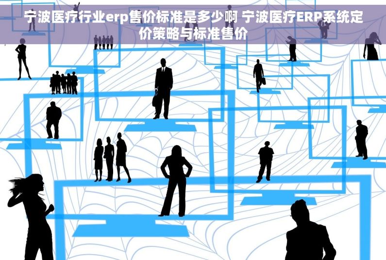 宁波医疗行业erp售价标准是多少啊 宁波医疗ERP系统定价策略与标准售价