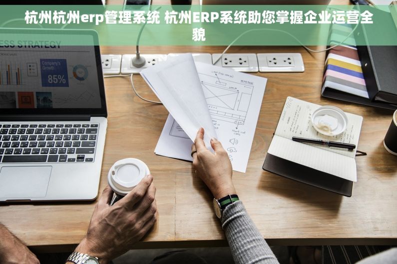 杭州杭州erp管理系统 杭州ERP系统助您掌握企业运营全貌