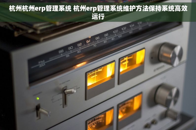 杭州杭州erp管理系统 杭州erp管理系统维护方法保持系统高效运行